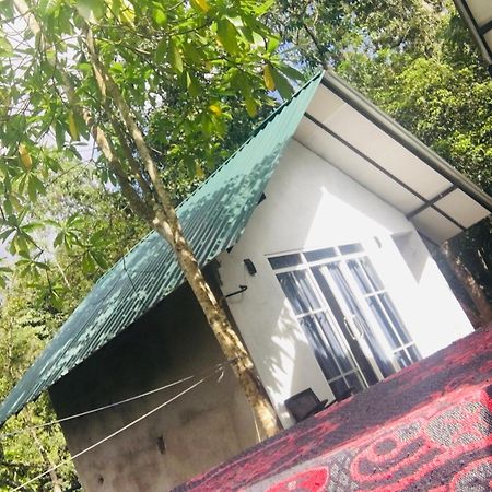 Little Wood Villa And Retreats Doluwa Κάντι Εξωτερικό φωτογραφία